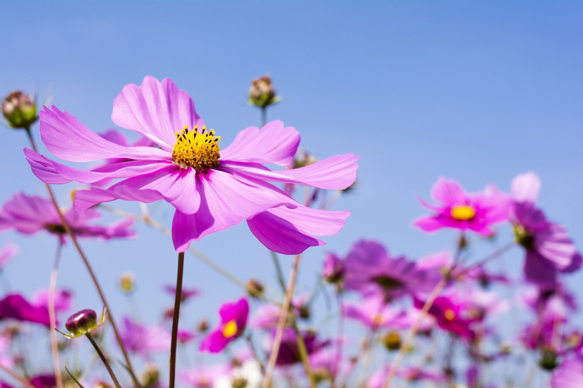 AdobeStock_104540275